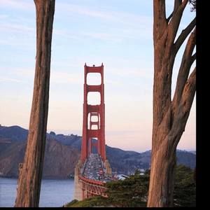 Meet your Posher, Ace